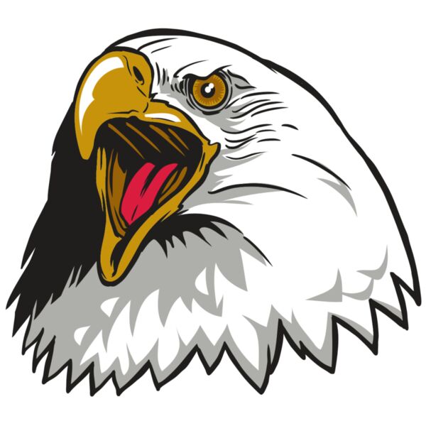 AR22 EAGLE 01 RQC Thumbnail